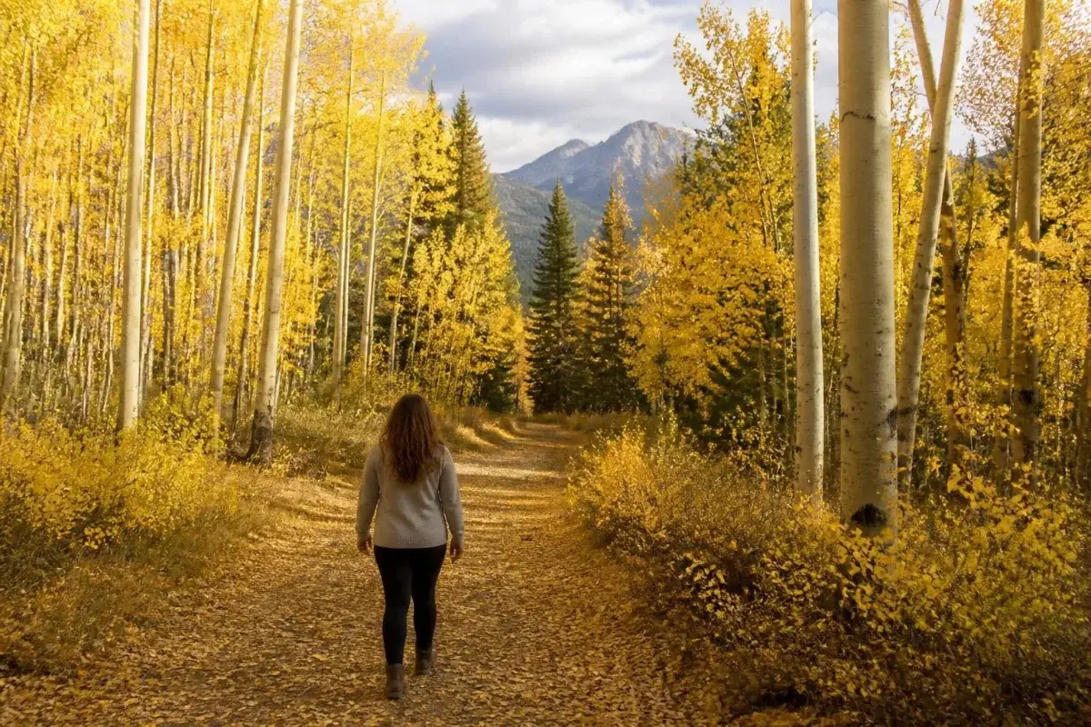 Walking outside without headphones to stop overthinking, on an aspen trail in Alberta