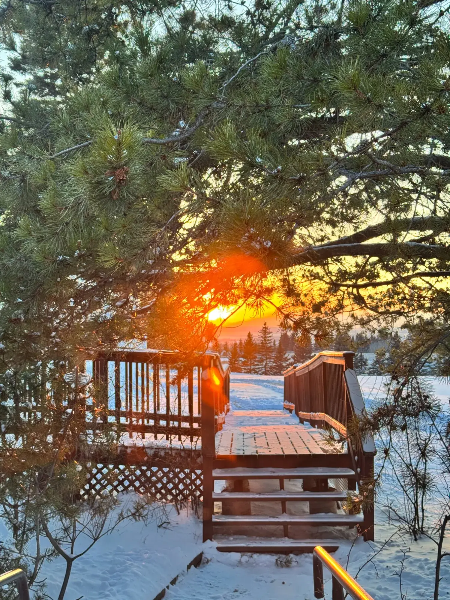 Sunset through the pines at Mount St. Francis Retreat Centre
